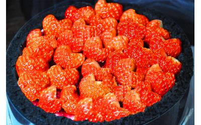 Blackpool Strawberry<br>黑池草莓