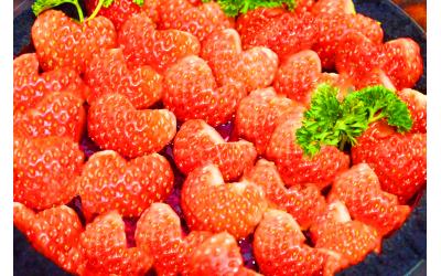 Blackpool Strawberry<br>黑池草莓