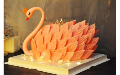 Love of Swan<br>天鹅之恋