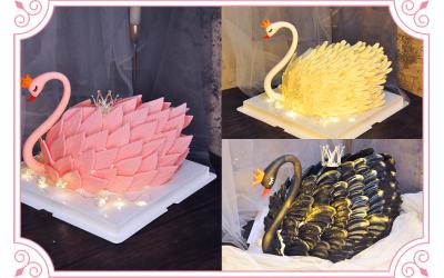 Love of Swan<br>天鹅之恋